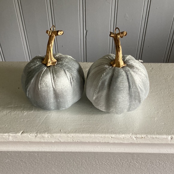 NWT Set of 2- Velvet Pumpkins- 2 Gray Silver Fall Holiday Decorations 🎃🍁 - Picture 3 of 17